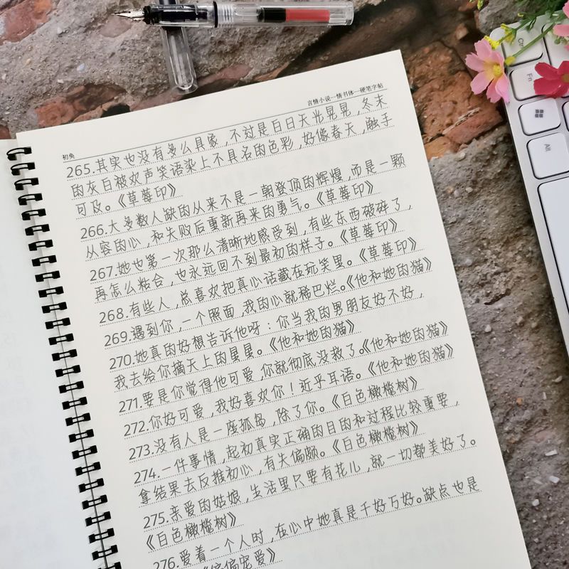 言情小说白日梦我草莓印周边校园甜宠虐心语初中生高中生钢笔字帖 情书体 [套餐一]单本字帖(无赠品 )不推荐