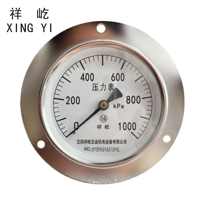 祥屹 压力表轴向带边检测定制型 Y100ZT 块