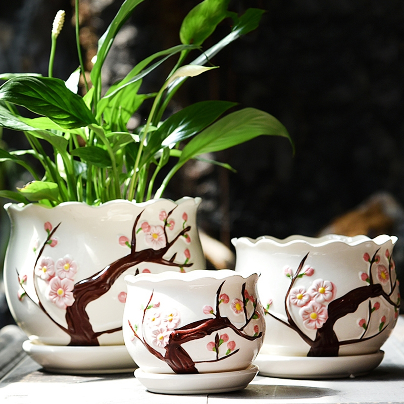 阿斯卡利ascari园艺用品