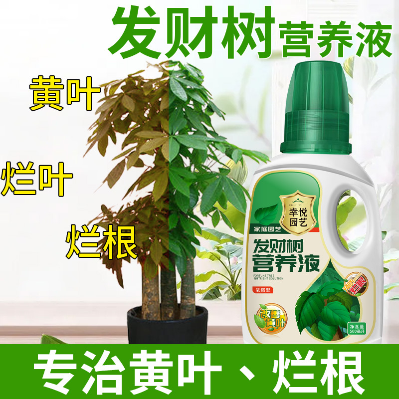 肥料专用肥治叶子发黄掉叶烂根室内盆栽植物花肥通用