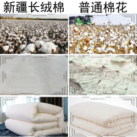 十二斤新疆100%长绒棉被子冬被套春秋被子芯学生宿舍床垫棉被芯纯棉花被褥子单人棉军用被褥子双人军训被褥加厚空调被多忆绵眠
