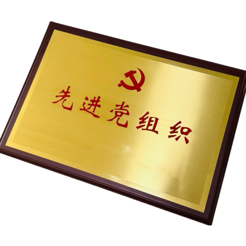 晨洋(CYSM)可定制奖牌 CYBG013 块高清大图