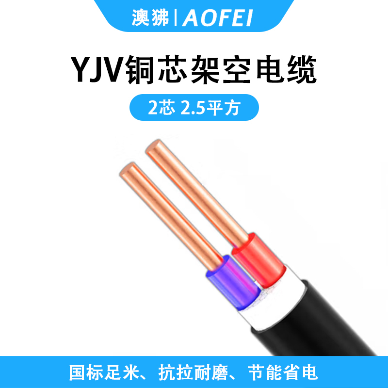澳狒/AOFEI 电缆线 铝芯电源护套线 YJV-2*2.5平方 1米