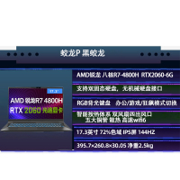 机械革命(MECHREVO)蛟龙P 17.3英寸游戏本赛博朋克电竞发烧级笔记本电脑 (AMD八核R7-4800H 16GB 512GB固态 RTX2060/6G 144Hz)