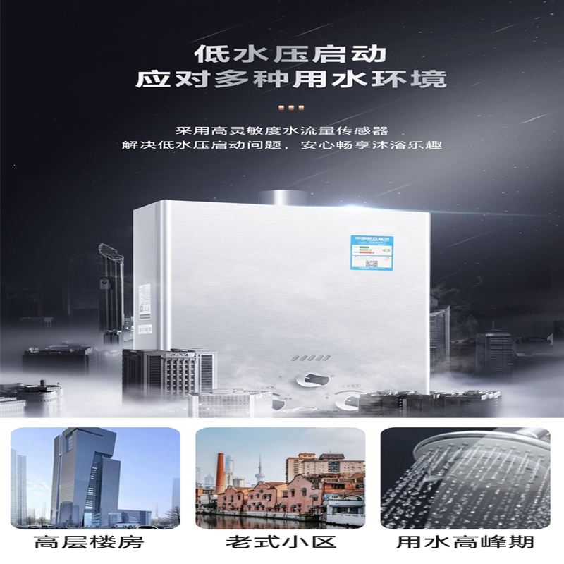 黄金蛋 5升/分钟 强排非恒温 燃气热水器