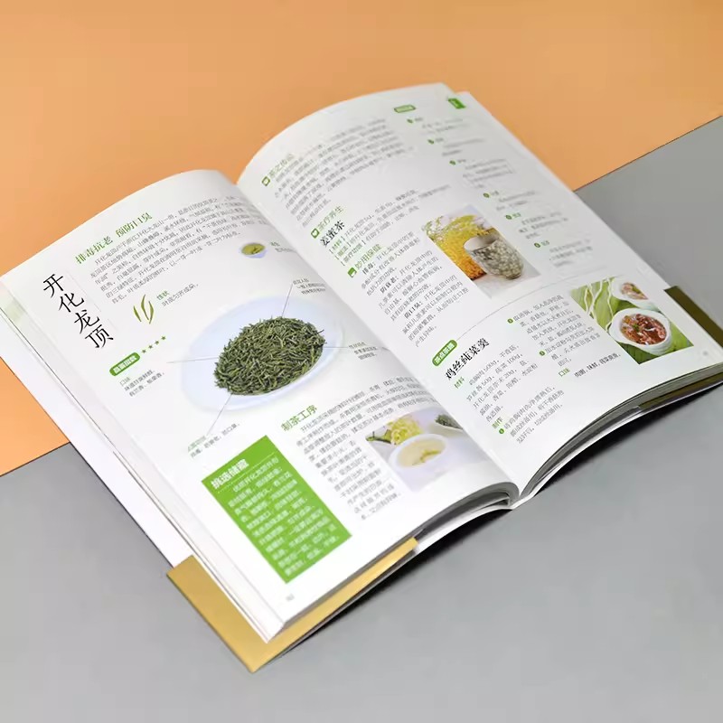 [正版]中国茶入门图鉴从喝茶到懂茶的中国茶文化手册茶文化饮食文化类中国茶经大观品茶图典茶道茶艺大观爱上花草茶高清大图