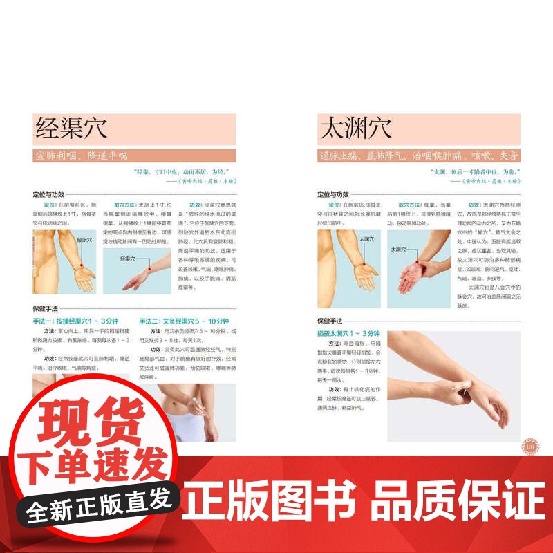 生活-《黄帝内经》养好肺 正气足 寿命长(有声版)杨秀岩养肺润肺黄帝内经经络养肺中医23种养肺食物20大护肺穴位中医高清大图