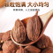 沈之问云南大草果大料香料调料小茴香香叶桂皮烧烤卤料炒菜调料