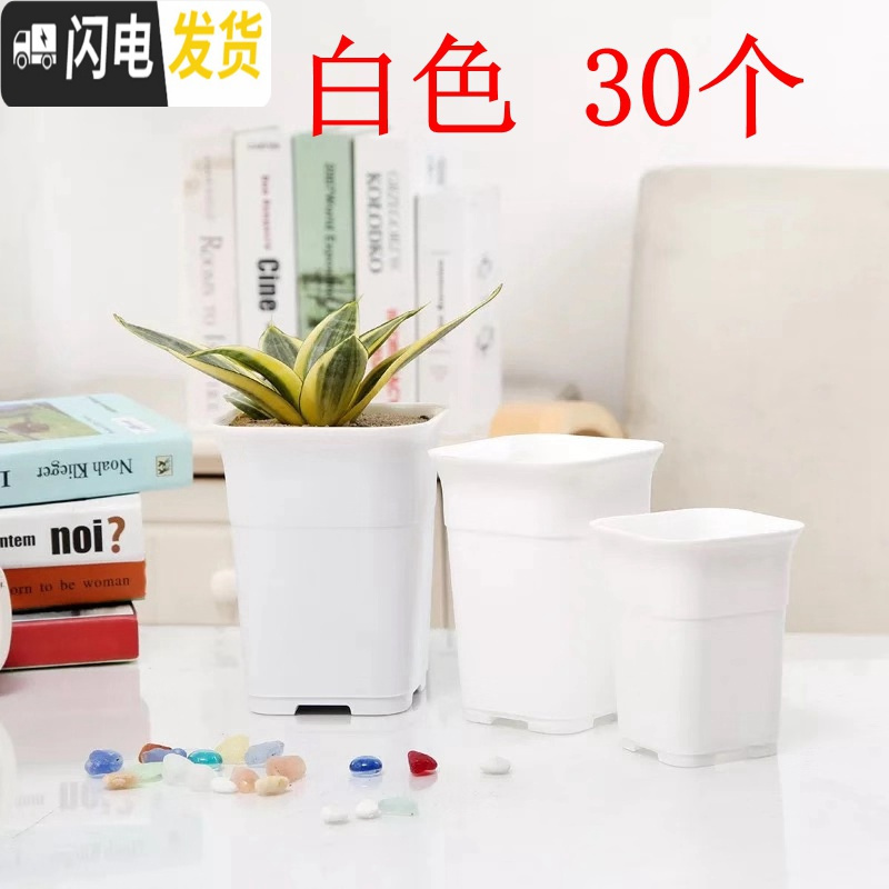 三维工匠高腰特加厚万象酢浆盆小大方多肉家庭园艺植物塑料磨砂浅花盆白色高腰盆30个口径10 3cm无底托花盆容器图片 高清实拍大图 苏宁易购
