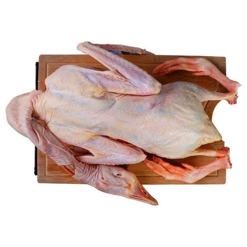 顺丰农家散养新鲜大鹅超大鹅肉鹅掌大白鹅活体冷冻非老鹅杀完66斤大白