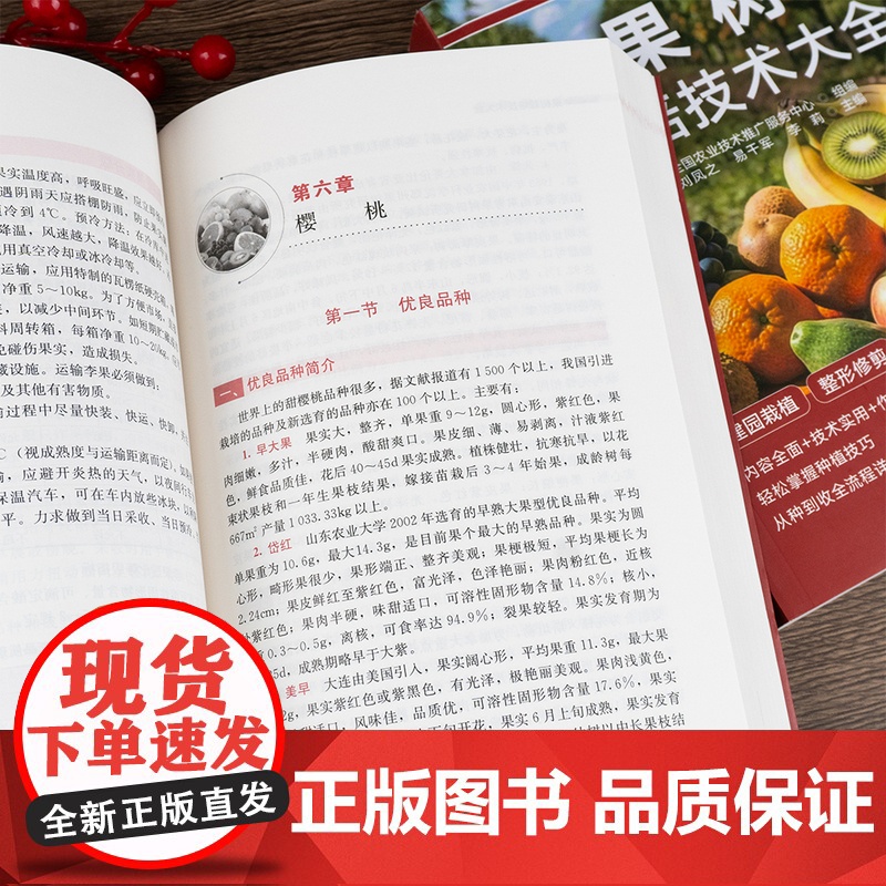 果树栽培技术大全果树种植技术葡萄枇杷柑橘樱梨桃荔枝苹果李猕猴桃杨梅香蕉火龙果病虫害防治果树整形修剪书籍家庭果树栽培入门高清大图