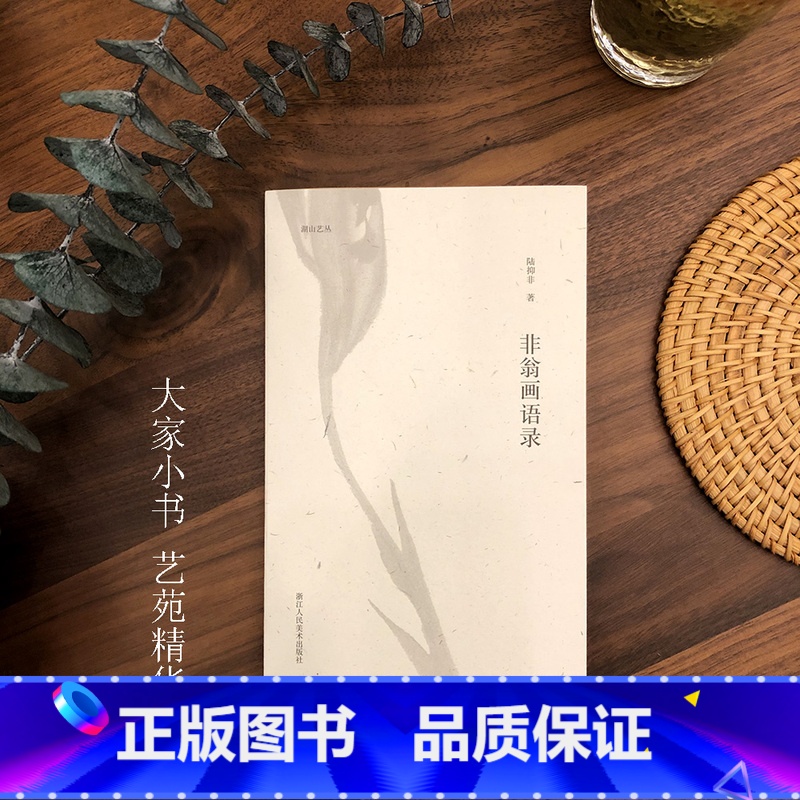 【正版】湖山艺丛 非翁画语录 陆抑非著为读者奉上一堂生动有趣的绘画教学课中国画的理解现当代艺术大家国画绘画史艺术理论研