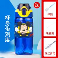 迪士尼儿童夏季水杯带吸管男女学生便携防摔可爱塑料杯宝宝水壶大 吸管米奇蓝540ml+杯刷吸管刷背带