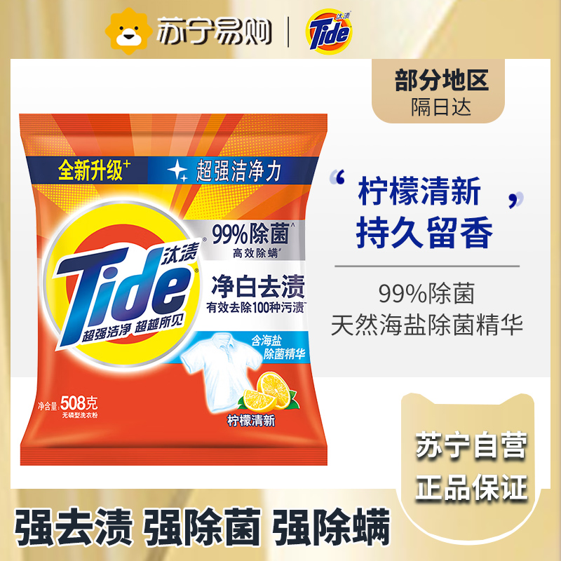 汰渍净白去渍无磷洗衣粉(柠檬清新型)508克