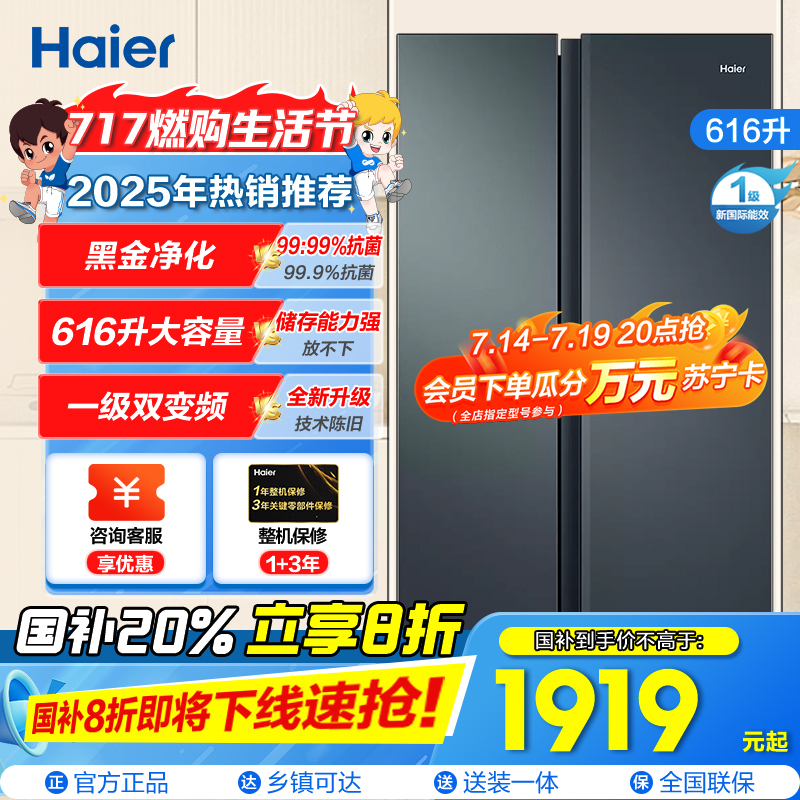 海尔(Haier)616升对开门超薄嵌入冰箱 鲸式储量 黑金净化 双变频一级能效 BCD-616WGHSSEDC9