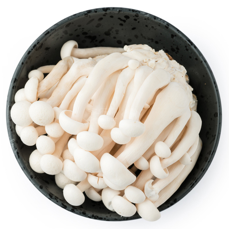 菌香园白玉菇袋装