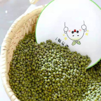鲁强石磨源 绿豆 1kg 农家毛绿豆 好煮易出沙 酥田袋装