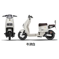 新日 博闻EB 磷酸铁锂48V24Ah 新国标电动自行车 锂电池75km续航