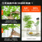 仿真植物南天竹落地盆栽卫全行室内大型仿生绿植摆件客厅轻奢装饰花假树 1.6米加密南天竹+白色圆底盆