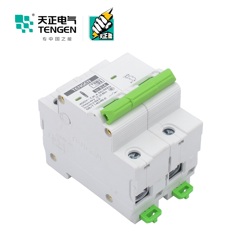天正电气瑞彩系列TGBH-125 空气开关 6KA 2P C 63A 335013800241 微型断路器
