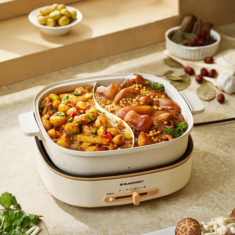 蓝宝鸳鸯电火锅6L分体火锅BP-HG05高清大图