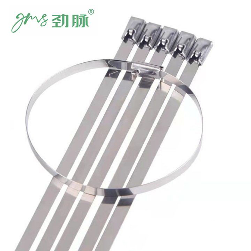 劲脉 不锈钢扎带 8*700mm 包高清大图