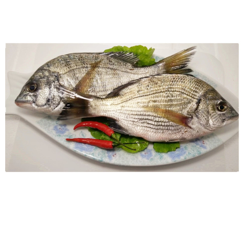 万里鲜东海新鲜冰鲜海鲫鱼海鱼1kg28条海鲜水产