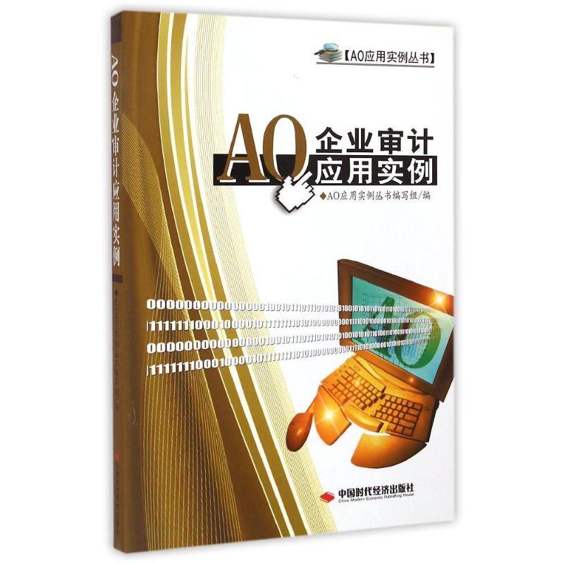正版新书]AO企业审计应用实例AO应用实例丛书编写组978751191581
