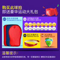 红双喜(DHS)乒乓球拍 双拍初学级兵乓拍对拍学生儿童娱乐拍乒乓球拍套/包