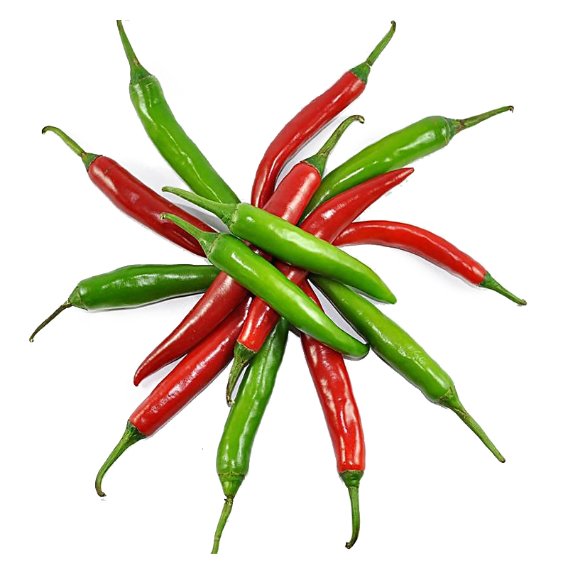 芮瑞自家种植朝天椒青红辣椒小青椒小米椒2500g