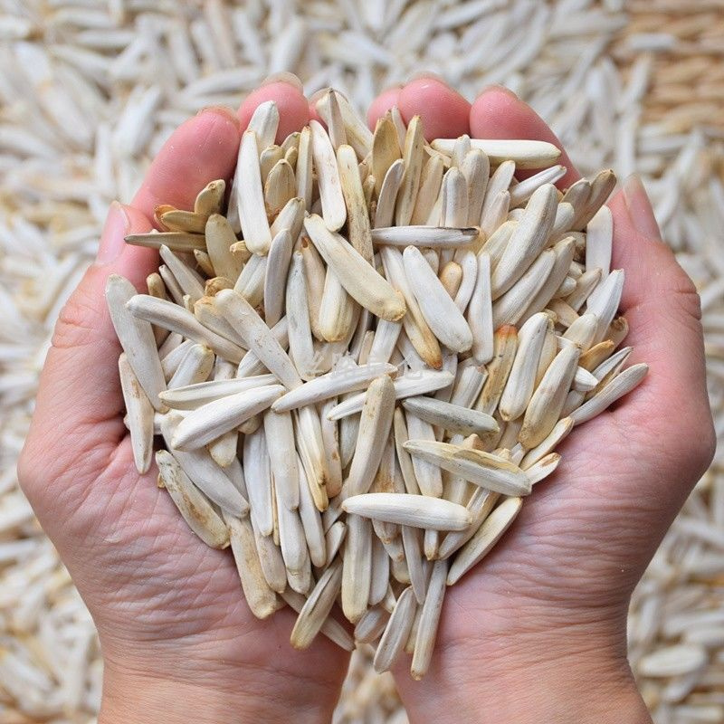 牙签瓜子牙签马牙葵花籽葵生瓜子白皮新货皮薄仁酥 新货[原味2斤]