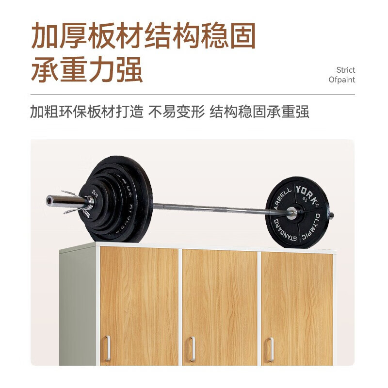振奥 木质更衣柜员工储物柜带锁储物柜健身房游泳馆浴池浴室存放柜(六门1800x800x500mm