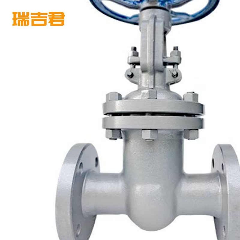 瑞吉君 法兰铸钢闸阀 DN25 单位:个高清大图
