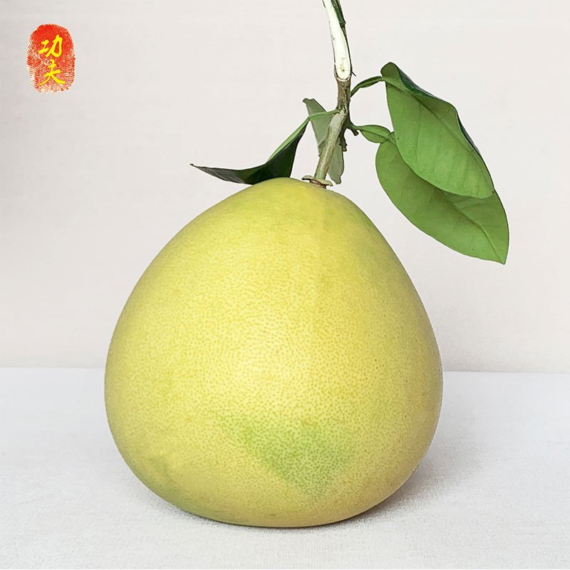 新鲜平和功夫蜜柚 白心蜜柚 新鲜水果白肉柚子2个装约5斤 当季应季孕妇水果