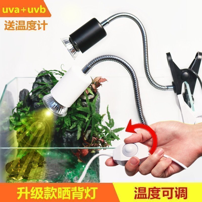 乌龟晒背灯陆龟鹦鹉uva养龟用品宠物保暖保温太阳加热照背灯高清大图