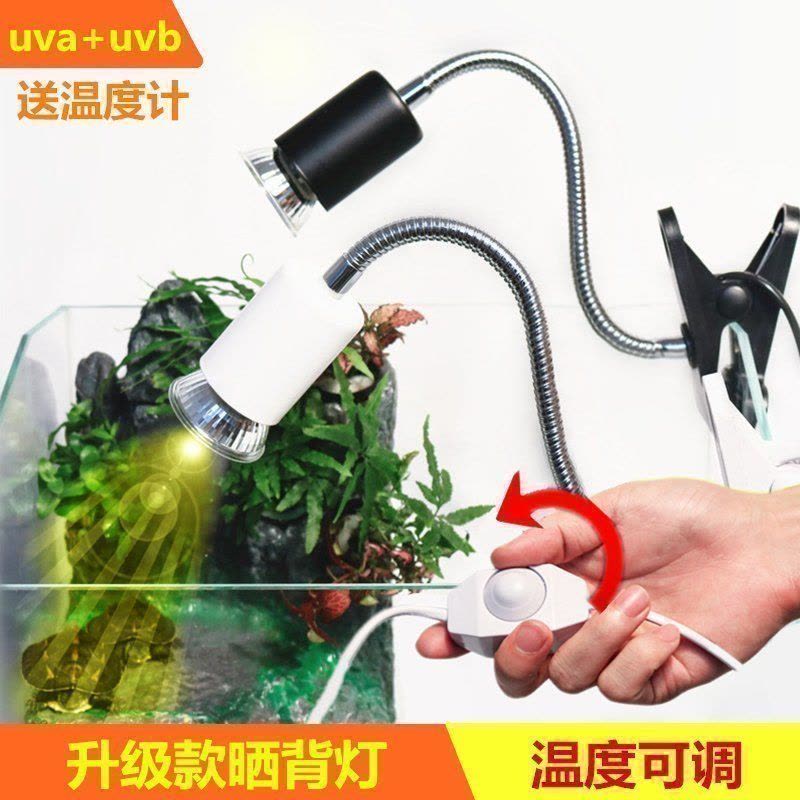 乌龟晒背灯陆龟鹦鹉uva养龟用品宠物保暖保温太阳加热照背灯图片
