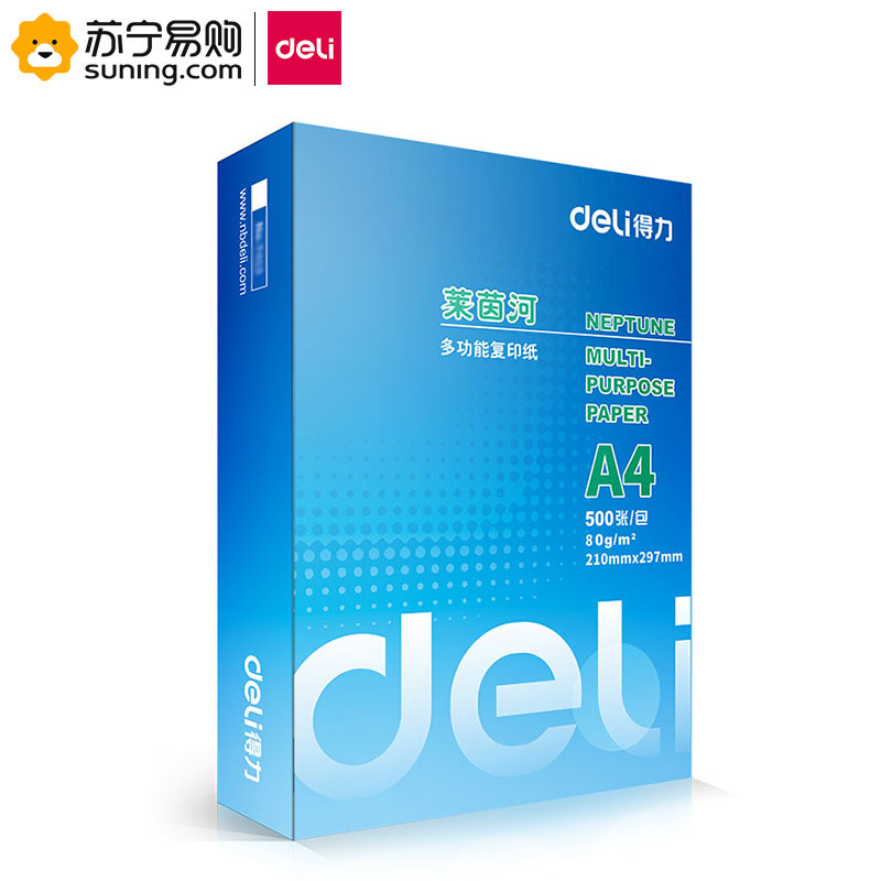 得力(deli) 莱茵河复印纸 7419 A4 80g 5包/箱 单包装