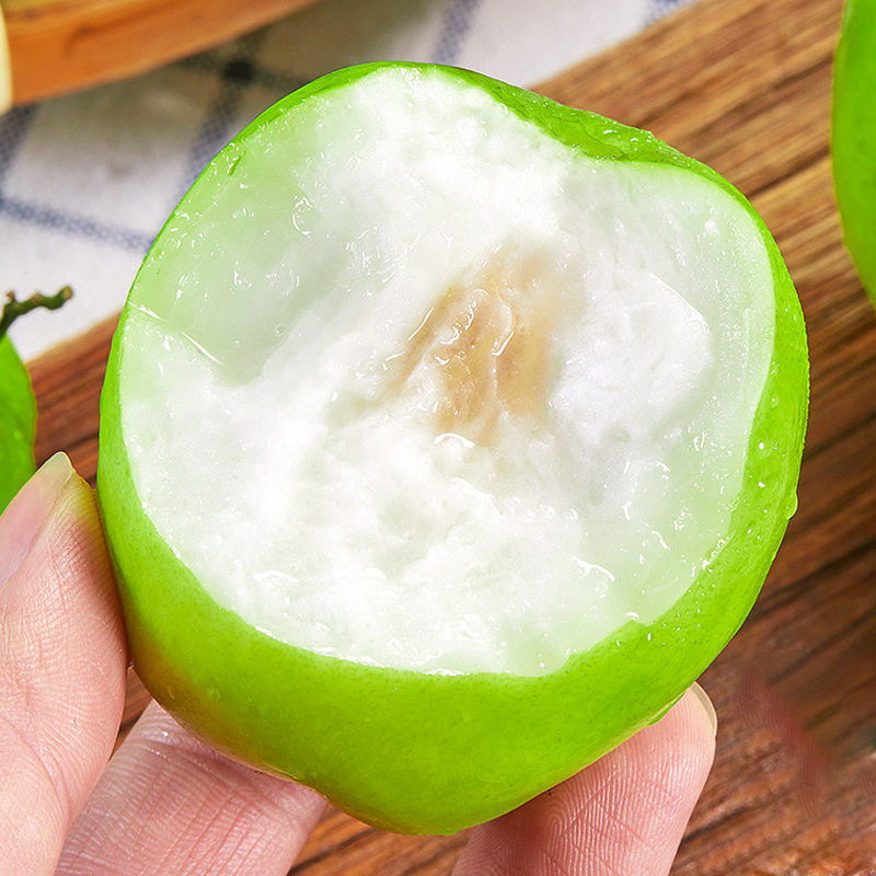 [西沛生鲜]云南新鲜大青枣 5斤 单果80g+ 新鲜应当季水果大果脆甜蜜枣子冬枣整箱高清大图