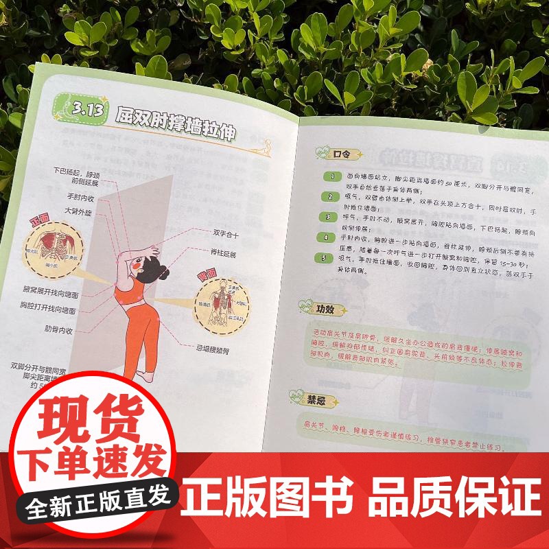 拉伸漫画图解课堂高清大图