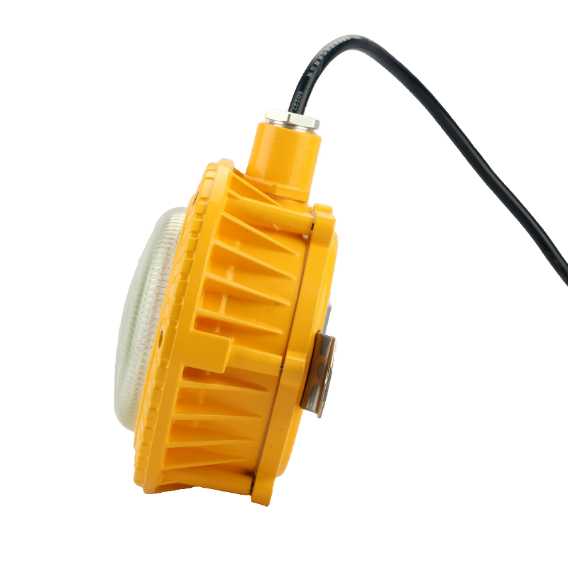 简鼎 JD9212 AC220V 18W IP66 免维护LED防爆灯(计价单位:盏)黄色高清大图