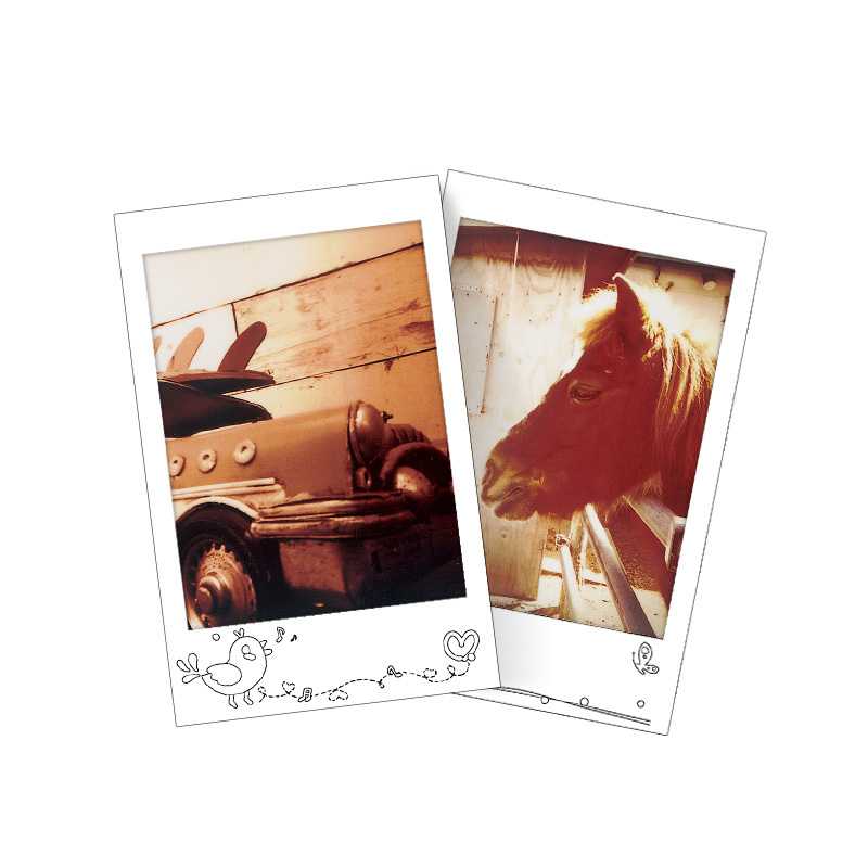 富士(FUJIFILM)INSTAX 拍立得相纸 mini花边胶片 生活填色(10张)
