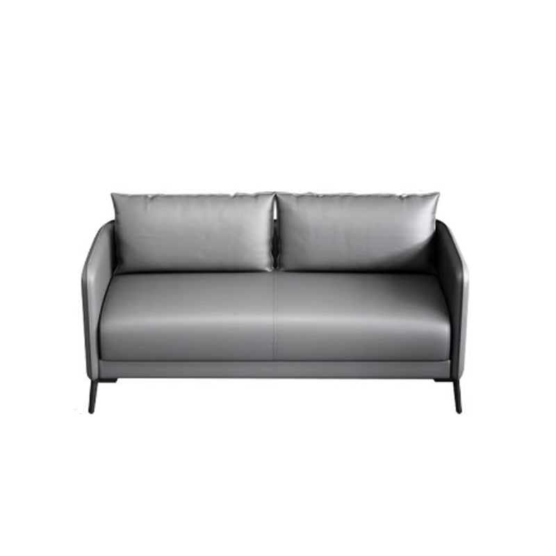 广视杰 休闲沙发 皮革 个高清大图