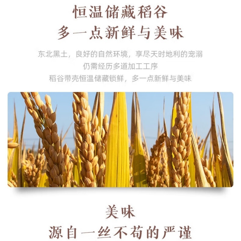 十月稻田臻选东北大米5kg高清大图