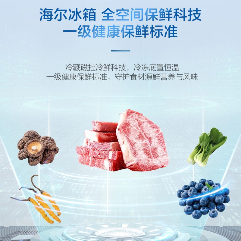 海尔(Haier)603升多门超薄冰箱 底置恒温保鲜 磁控冷鲜 双系统双重杀菌 BCD-603WGHFD2BW5U1高清大图