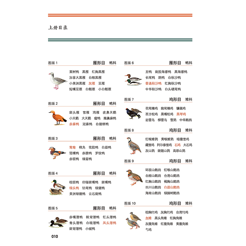 正版新书]中国鸟类野外手册 马敬能新编版(全2册)[英]约翰·马敬高清大图