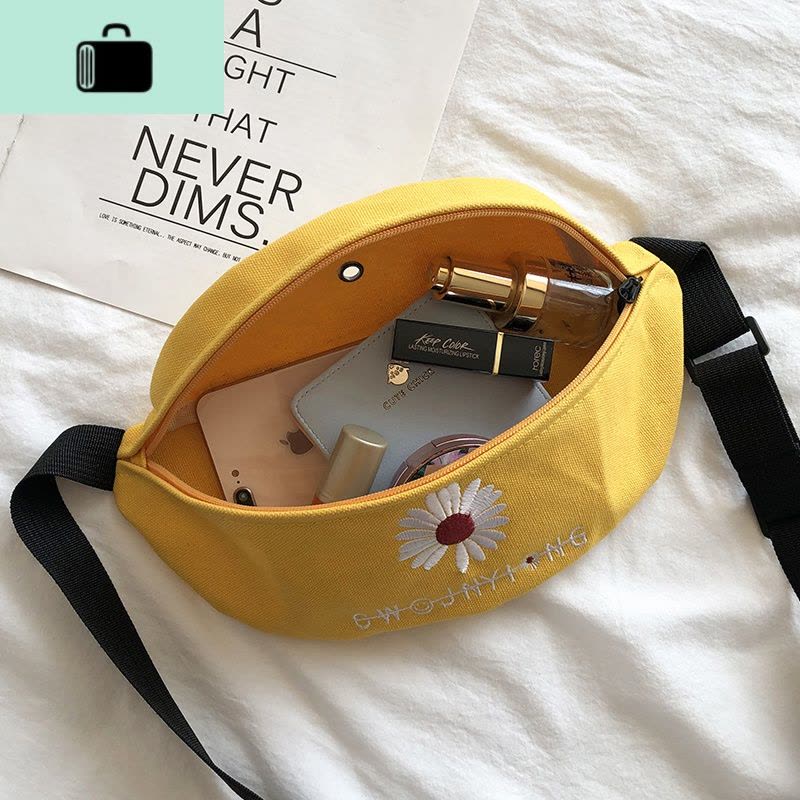 网红帆布小包女2020新款时尚学生胸包ins卡通百搭青蛙斜挎包腰包NEW LAKE男士腰包图片