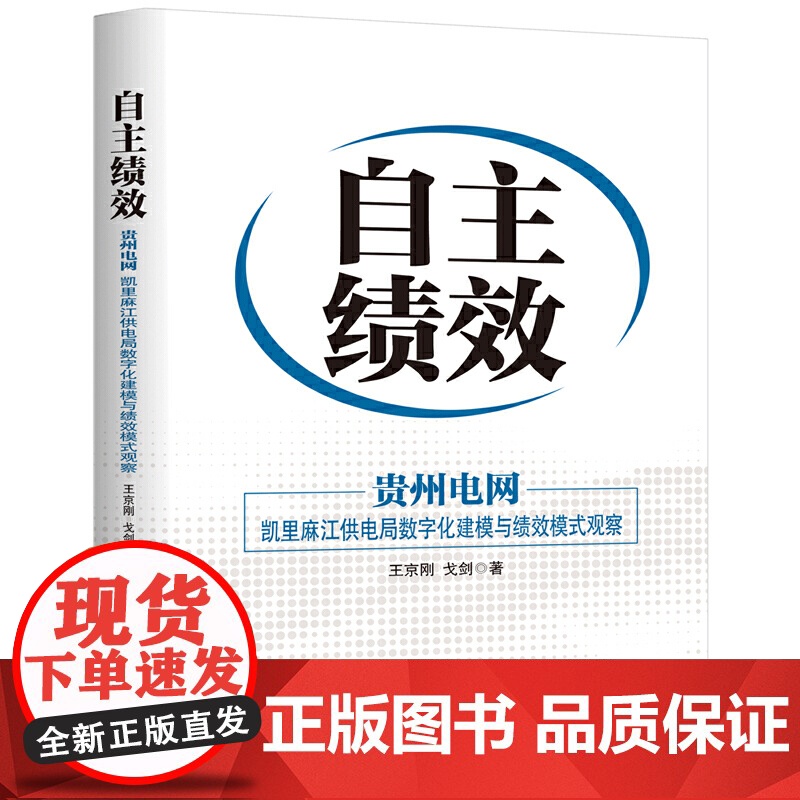 自主绩效:贵州电网:凯里麻江供电局数字化建模与绩效模式观察