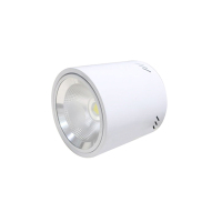 众朗星 ZL8855 LED站台灯 40W LED光源
