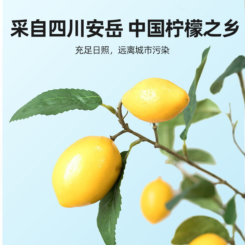 [2罐] 48g瓶装柠檬片泡茶冻干柠檬片干片水果花茶泡水茶 叶花草茶养生茶饮官方旗舰店