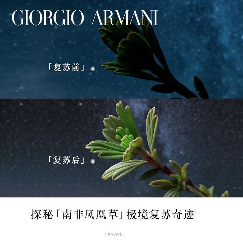 阿玛尼Arman 黑钥匙修护面霜30ml滋润版黑曜石紧致淡纹高清大图